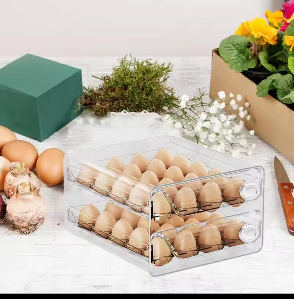 24 Grid Egg Tray 24 Grid Egg Tray