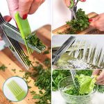 5 Blade Herbs Scissors