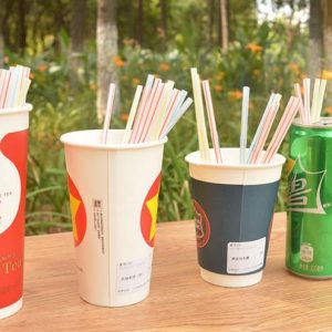 Disposable Straws