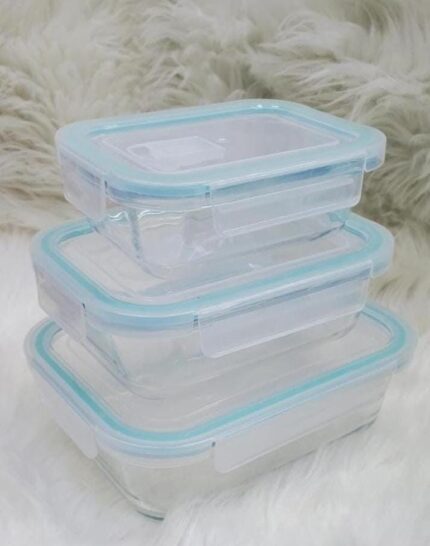 Glass Snack Box with Lunch Bag