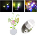 Wall Night Light