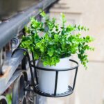 Flower Pot Holder