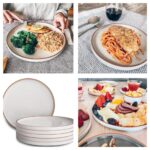 10" Steak Retro Dinner Plate