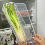 Refrigerator Herb Storage Box – Fresh-Keeping Crisper Organizer with Lid