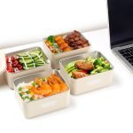 3 In 1 Lunch Insulated Set – 2 Lunch Boxes + 1 Lunch Bag (Microwave Safe, 700 ml Each)