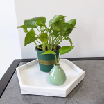 Marble Trays 1pc – Premium Natural Marble Serving & Decorative Tray