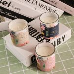 Botanical Scents Aromatherapy Scented Candle – Smokeless Natural Lasting Fragrance