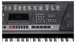 61Keys Electronic Keyboard with Microphone & USB Type-C Charging