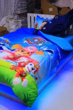 Cartoon Themed 4x6 Duvet Set with Bedsheet & 2 Pillowcases