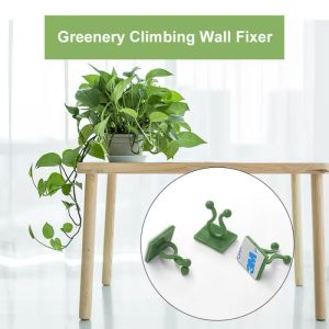 10pcs Invisible Wall Rattan Plant Climbing Clip Hooks – Sticky Wall Vine Holders