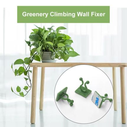 10pcs Invisible Wall Rattan Plant Climbing Clip Hooks – Sticky Wall Vine Holders