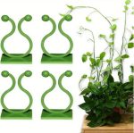 10pcs Invisible Wall Rattan Plant Climbing Clip Hooks – Sticky Wall Vine Holders