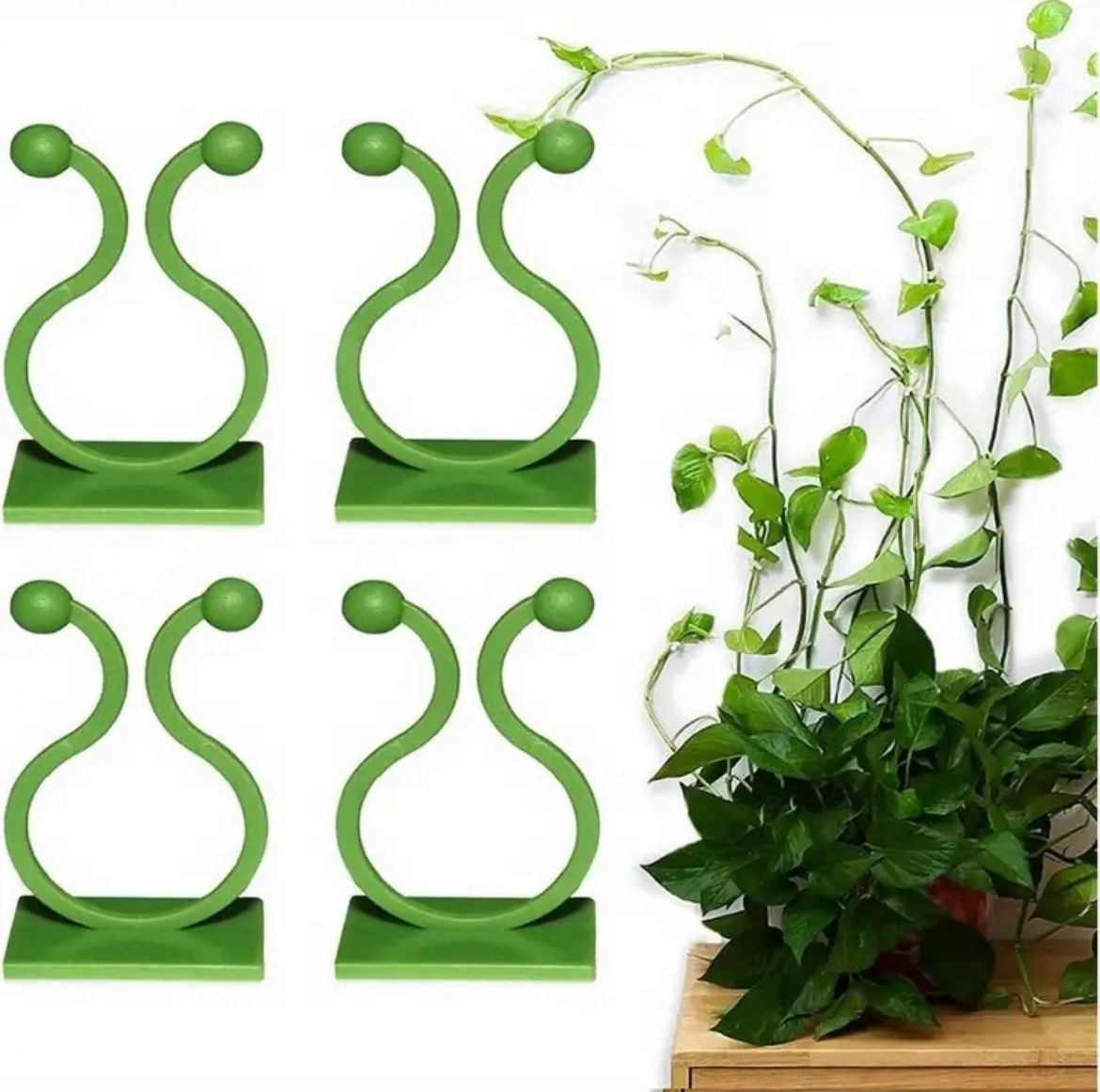 10pcs Invisible Wall Rattan Plant Climbing Clip Hooks – Sticky Wall Vine Holders 10pcs Invisible Wall Rattan Plant Climbing Clip Hooks – Sticky Wall Vine Holders