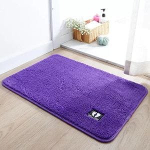 Non-Slip, Door mat for Entryway Bathroom & Living Room Decor